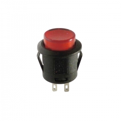 Push Button Switch Momentary On Illuminated 2V