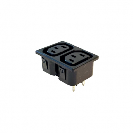 2 Way IEC Outlet