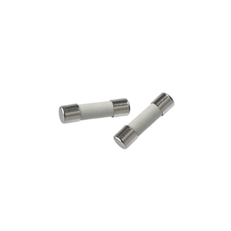 10A 20mm Anti Surge Fuse